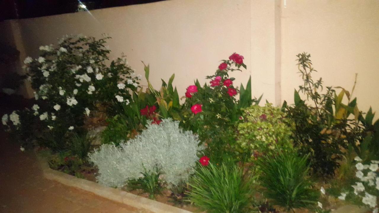 Tintech Bed & Breakfast Francistown Exterior photo
